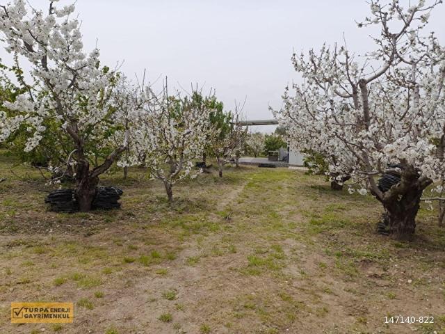 Kemalpaşa, İzmir içerisinde satılık mülk