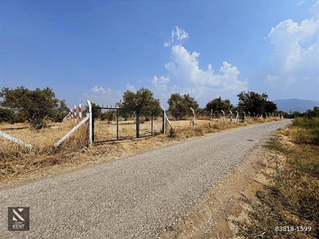 Kemalpaşa, İzmir içerisinde satılık mülk