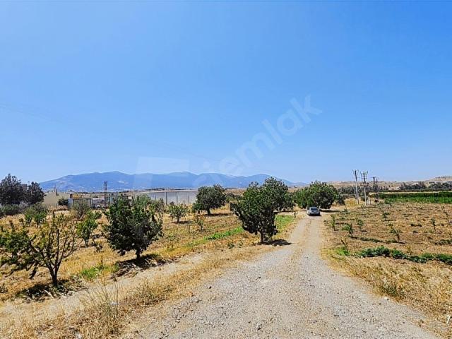 Kemalpaşa, İzmir içerisinde satılık Depo