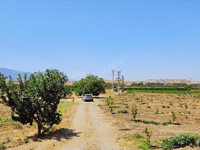 Kemalpaşa, İzmir içerisinde satılık Depo