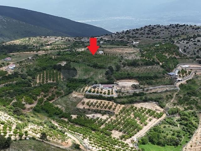 Kemalpaşa, İzmir içerisinde satılık Arsa