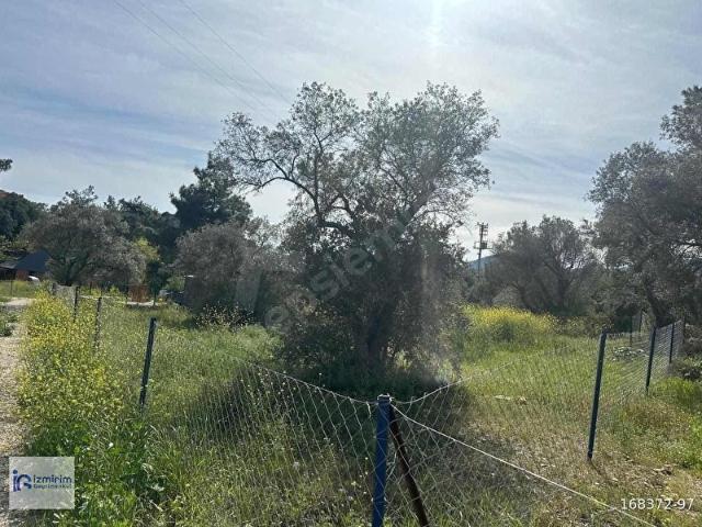 Kemalpaşa, İzmir içerisinde satılık Arsa