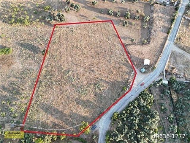 Kemalpaşa, İzmir içerisinde satılık Depo