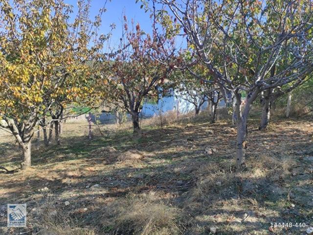 Kemalpaşa, İzmir içerisinde satılık Arsa