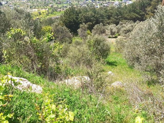 Kemalpaşa, İzmir içerisinde satılık Arsa