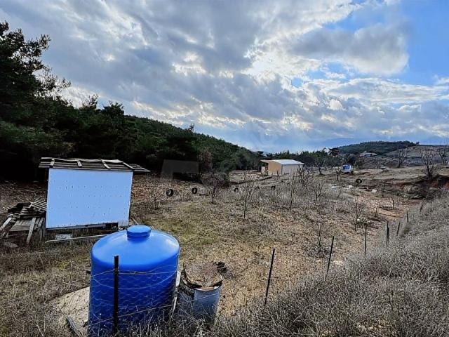 Kemalpaşa, İzmir içerisinde satılık Arsa