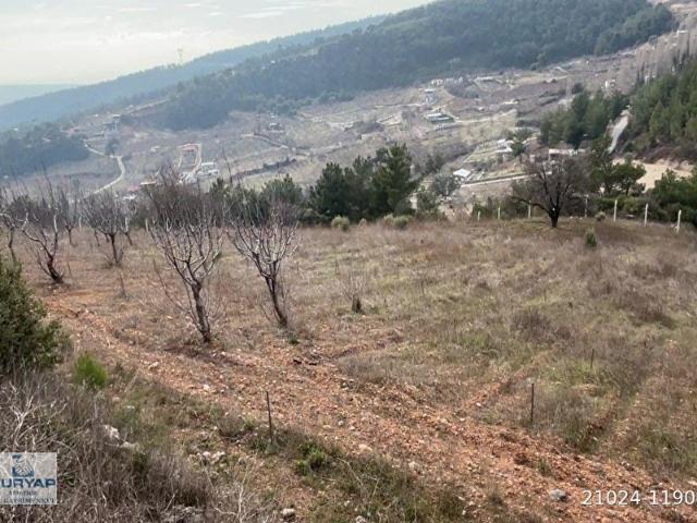 Kemalpaşa, İzmir içerisinde satılık Arsa