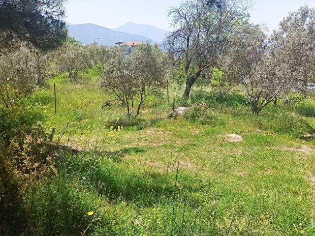 Kemalpaşa, İzmir içerisinde satılık Arsa