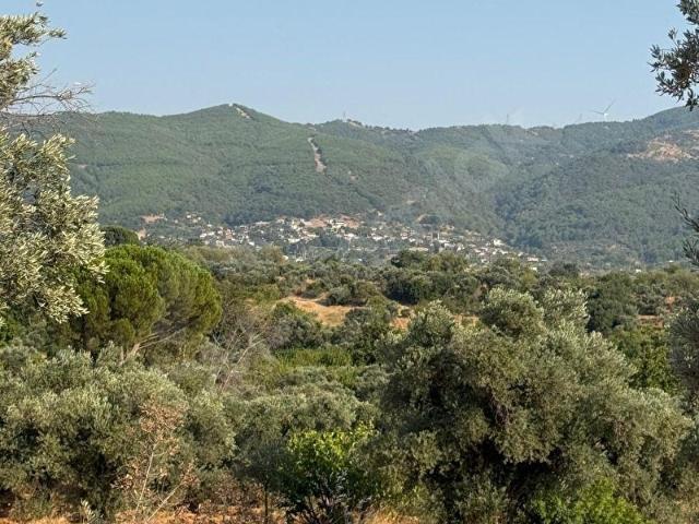 Dereköy Mahallesi, Kemalpaşa içerisinde satılık mülk