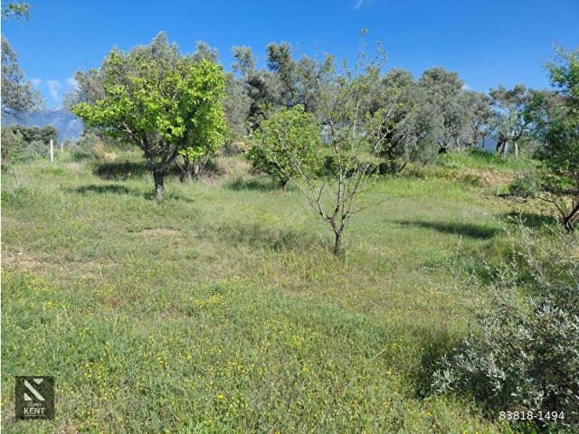 Kemalpaşa, İzmir içerisinde satılık mülk