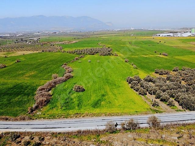 Kemalpaşa, İzmir içerisinde satılık Arsa
