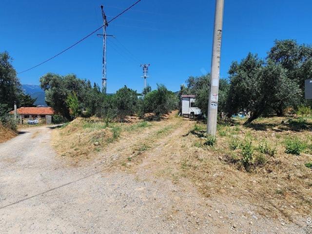 Kemalpaşa, İzmir içerisinde satılık mülk