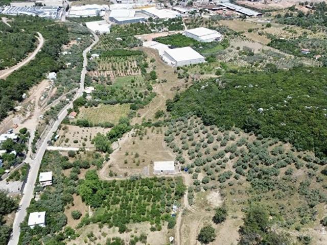 Kemalpaşa, İzmir içerisinde satılık mülk