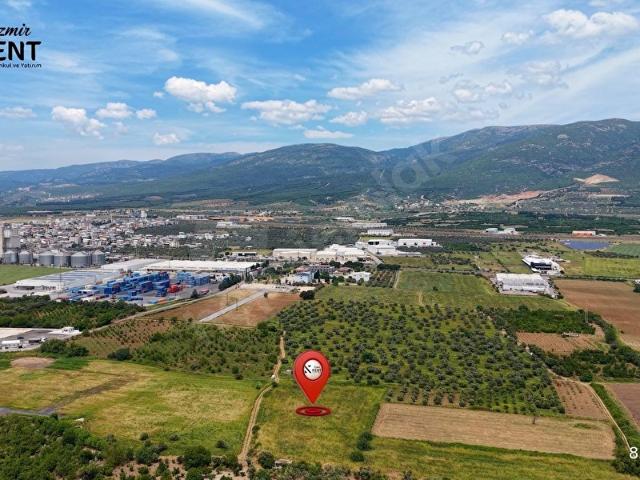 Kemalpaşa, İzmir içerisinde satılık mülk