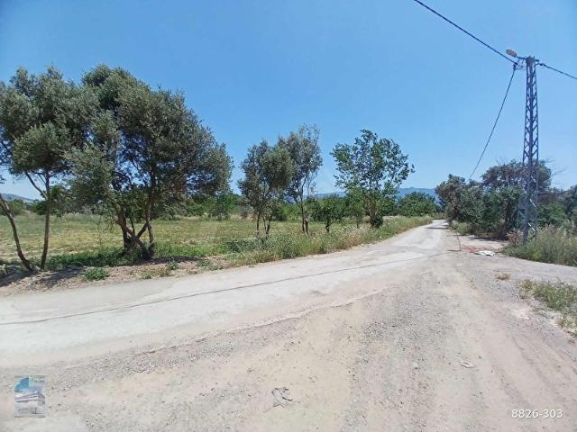Kemalpaşa, İzmir içerisinde satılık mülk