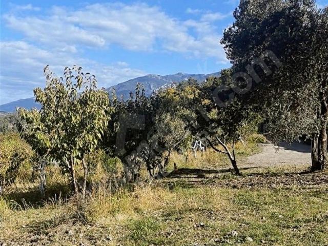 Kemalpaşa, İzmir içerisinde satılık mülk