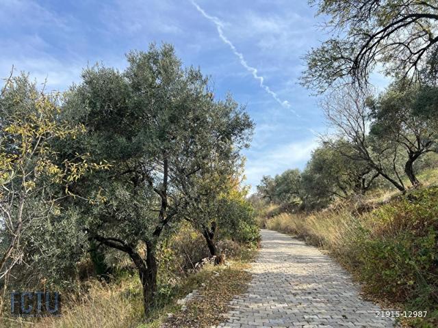 Kemalpaşa, İzmir içerisinde satılık Arsa