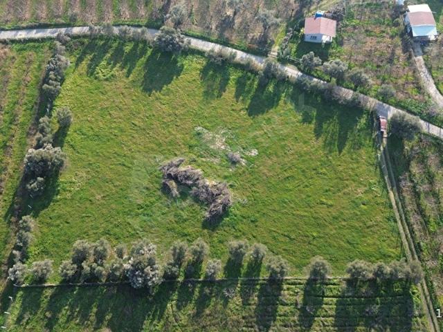 Kemalpaşa, İzmir içerisinde satılık Arsa