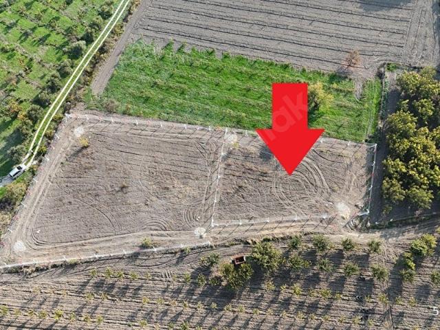 Kemalpaşa, İzmir içerisinde satılık mülk