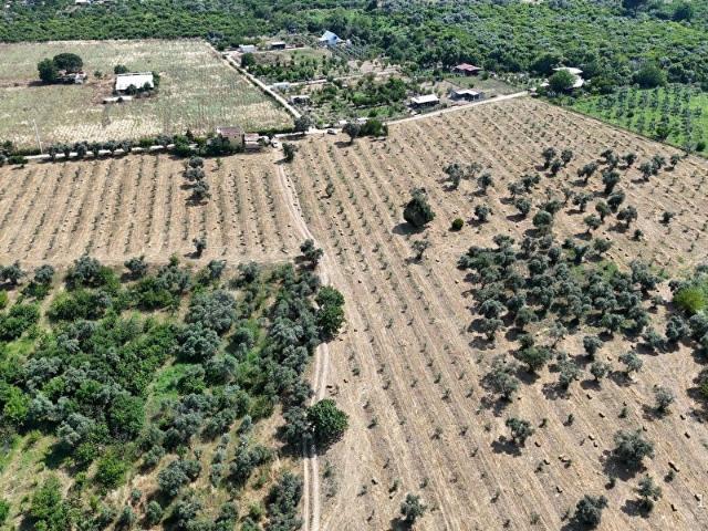 Kemalpaşa, İzmir içerisinde satılık mülk
