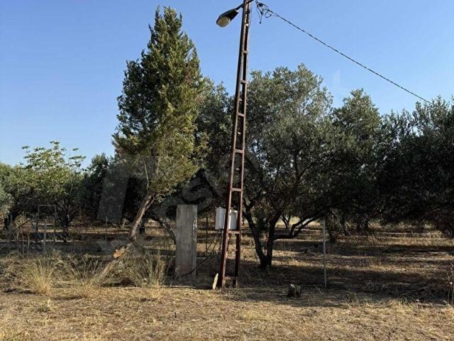 Kemalpaşa, İzmir içerisinde satılık Depo