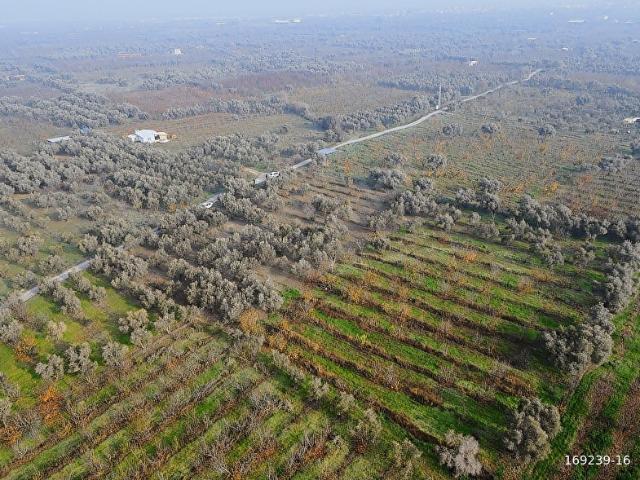 Kemalpaşa, İzmir içerisinde satılık mülk
