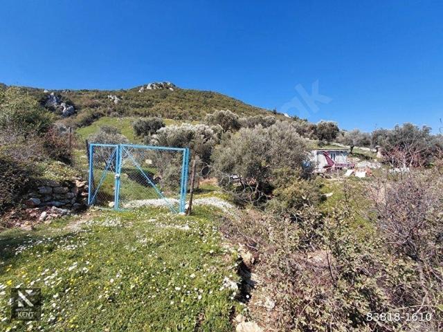 Kemalpaşa içerisinde satılık Arsa