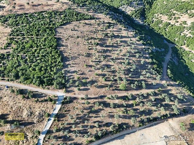 Kemalpaşa, İzmir içerisinde satılık mülk