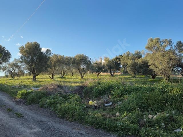 Kemalpaşa, İzmir içerisinde satılık mülk