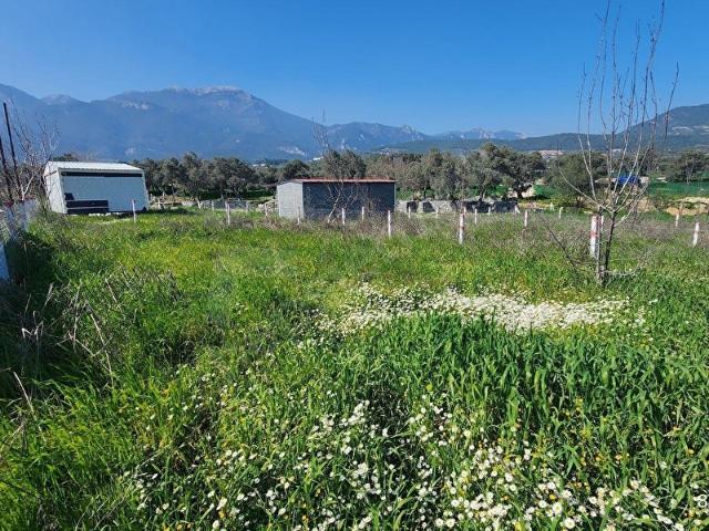 Kemalpaşa, İzmir içerisinde satılık mülk