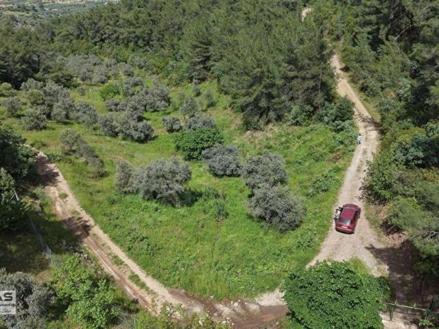 Torbali, İzmir içerisinde satılık mülk