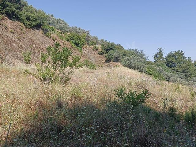 Yiğitler Mahallesi, Kemalpaşa içerisinde satılık mülk