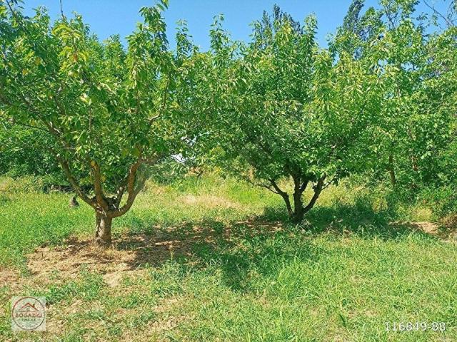 Kemalpaşa, İzmir içerisinde satılık mülk