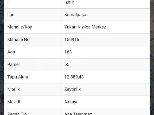 Kemalpaşa, İzmir içerisinde satılık mülk
