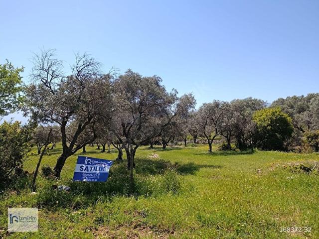 Kemalpaşa, İzmir içerisinde satılık mülk