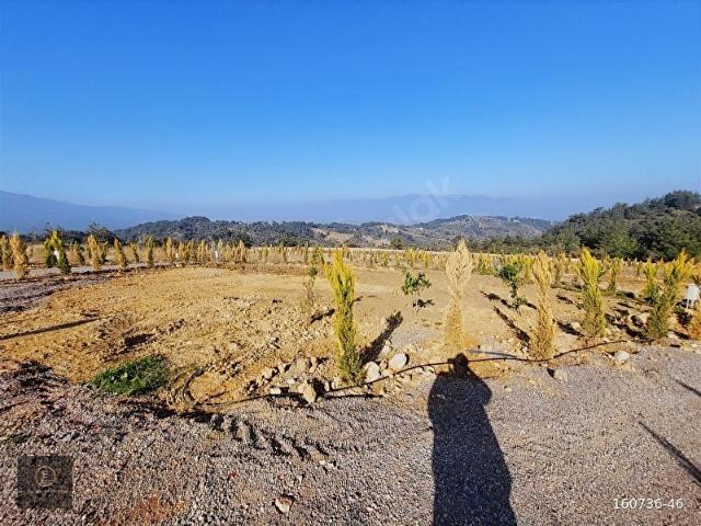 Kemalpaşa, İzmir içerisinde satılık mülk