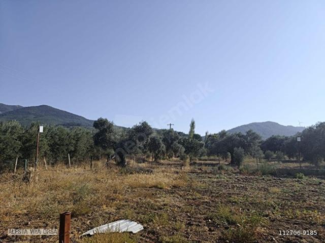 Kemalpaşa, İzmir içerisinde satılık mülk