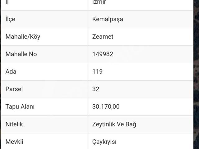 Kemalpaşa, İzmir içerisinde satılık mülk