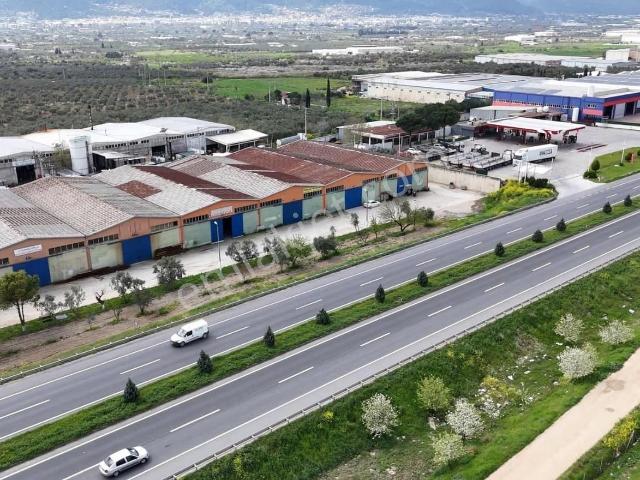 Kemalpaşa, İzmir içerisinde kiralık Depo