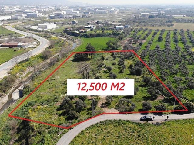 Kemalpaşa, İzmir içerisinde satılık mülk