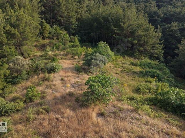 Kemalpaşa, İzmir içerisinde satılık mülk