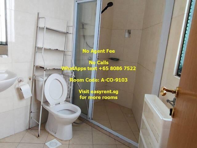 Room for rent in Chai Chee