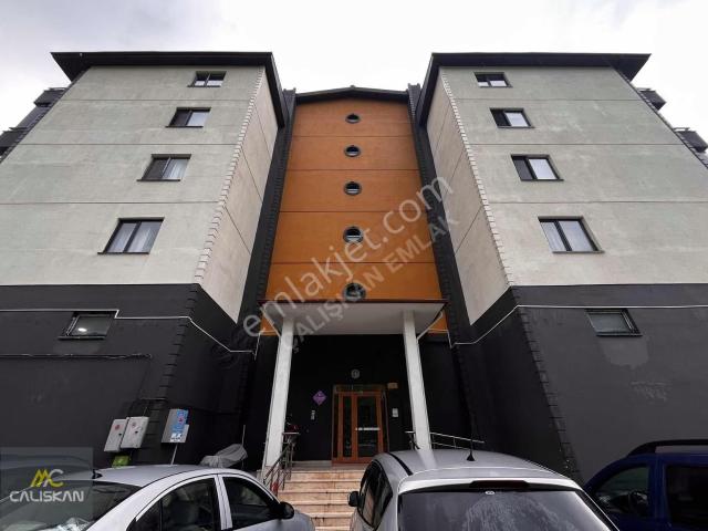 Tokat Merkez, Tokat içerisinde kiralık mülk