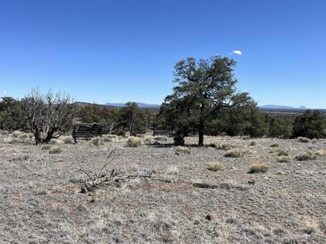 Land for sale in Catron, New Mexico