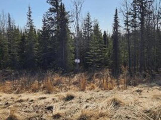 Land for sale in Kasilof
