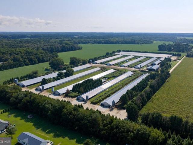 Farm for sale in Virginia