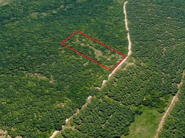 Land for sale in Crawfordville, Georgia