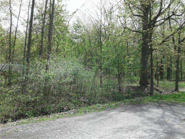 Land for sale in Sheffield Lake, Lorain County