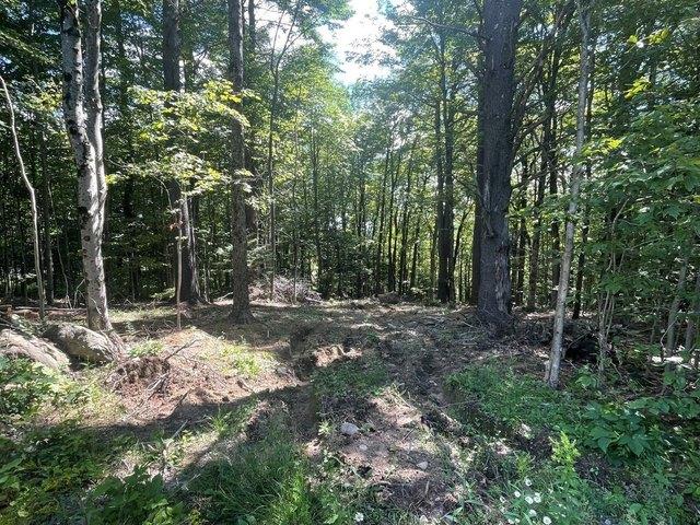 Land for sale in New Hampshire