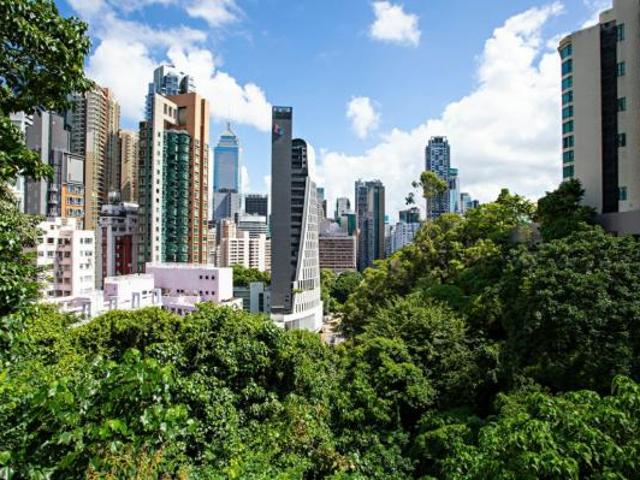 提供 出租 的 公寓